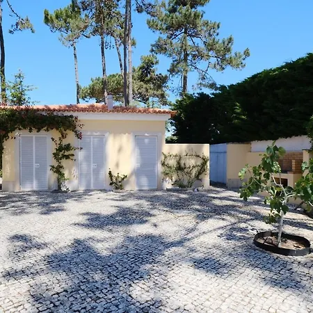 Sao Miguel Family House By Sintrest